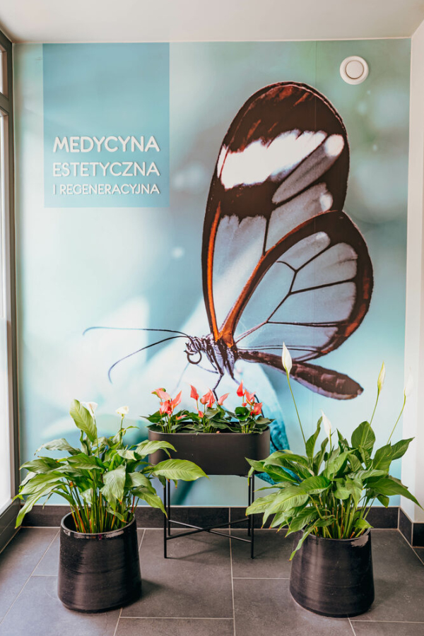 Nova Clinic  Leszno Leszno - zdjęcie nr 3